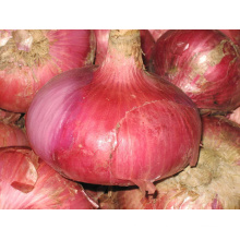 Red Onion